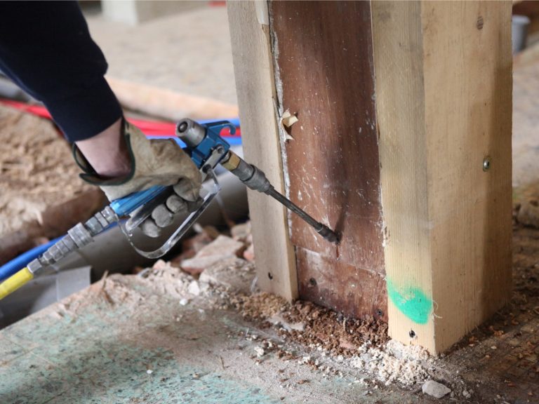 Control Termite