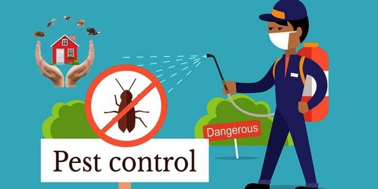 Cincinnati Pest Control Companies