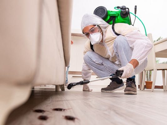 Pest Control Service