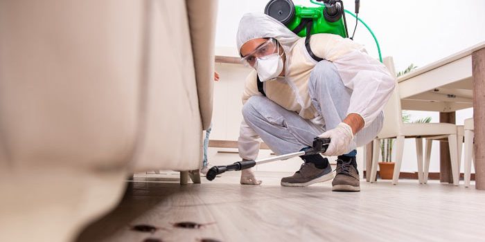 Pest Control Service Pest Control Service