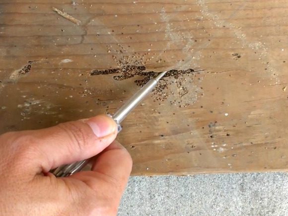 Termite Fumigation