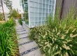 Ornamental Grasses