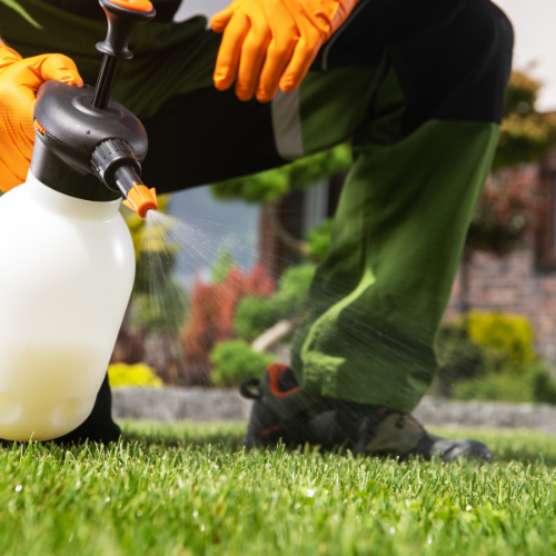 Weed Control and Fertilization Services in Cape Coral, FL