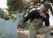 Animal Control Shows