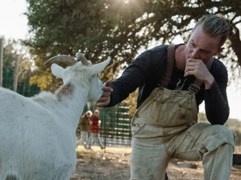 Animal Control Shows