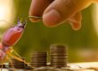 Cost of Termite Treatment