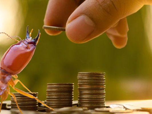 Cost of Termite Treatment