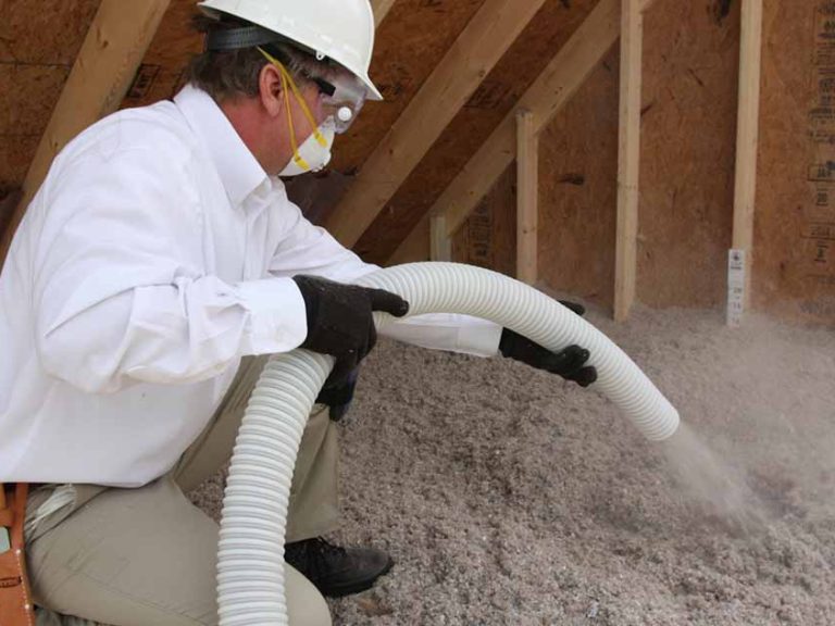 Tap Pest Control Insulation