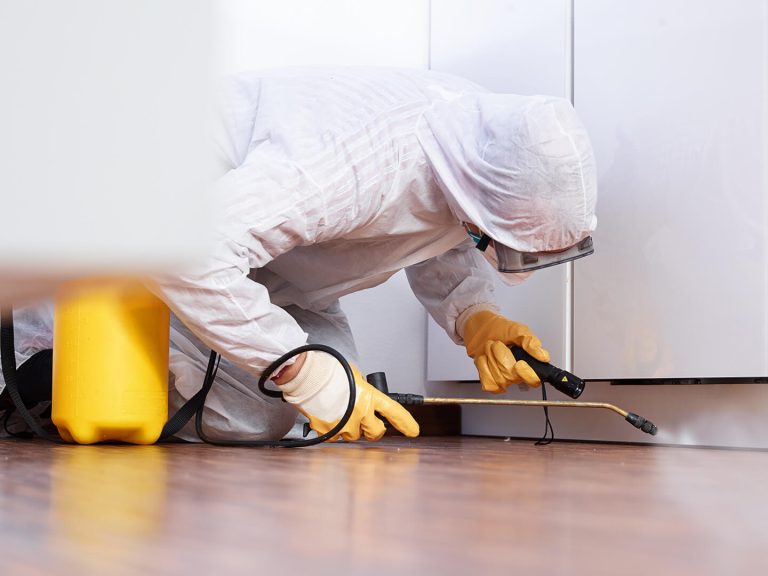 Home Pest Control